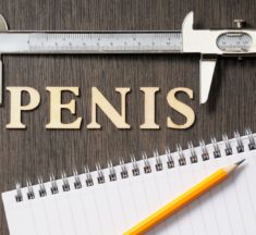 Classement de la taille du pénis dans le monde ?